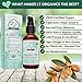 LT Organics 100% Pure Moroccan Argan Oil 4oz. Cold-Pressed & Triple Extra-Virgin Grade A to Promote BEST Growth for Dry & Damaged Hair. Natural Treatment for Anti-Aging Skin, Nails, Foot & Beard Care