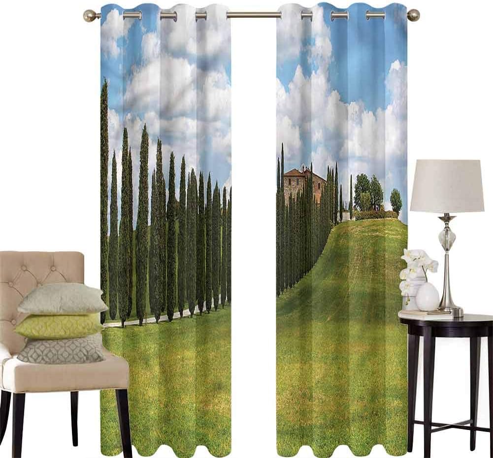 Aishare Store Cortinas opacas insonorizadas, árboles de granja toscana