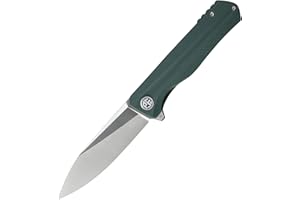 Petrified fish G10 handle D2 steel blade 2CR13 liner ball bearing flipper folding knife camping hunting EDC pocket tool PF818 (Green, Satin)