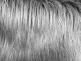 Faux Fur Luxury Shag Grey 60 Inch Wide Fabric By the Yard (F.E.®)