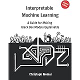 Interpretable Machine Learning: A Guide For Making Black Box Models Explainable
