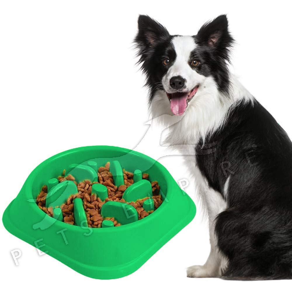 Pets Empire Slow Feeder Bowl Pets Slow Eating Bowl Interactive