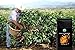WealthPreneur Coffee Co. Organic Coffee. Whole Bean Organic Coffee. The World's Richest Coffee. Fair Trade. USDA Certified Organic. Shade Grown Coffee. 1lb Bag. Gourmet Coffee. Potent High Quality