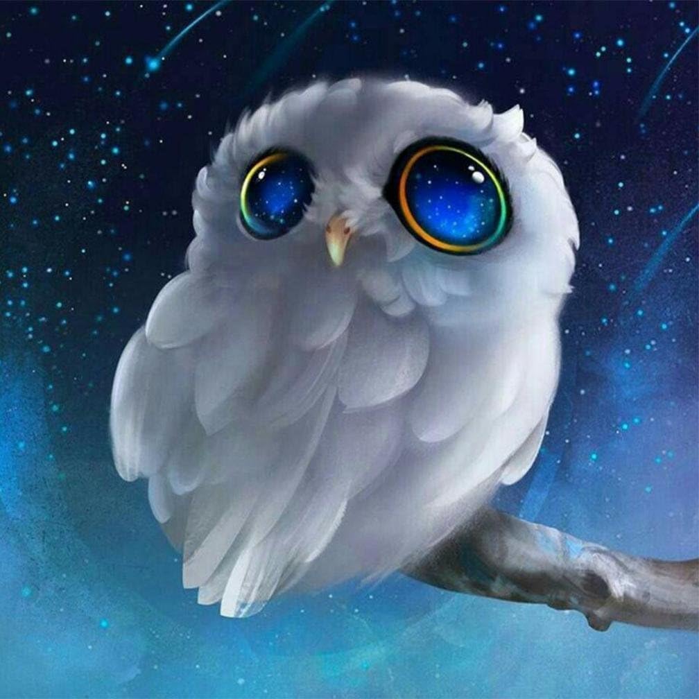Pandaie New 5D Diamond Painting Kit -White Owl- DIY Crystals Diamond Rhinestone Painting Pasted Paint by Number Kits Cross Stitch Embroidery Decor Wall Stickers & Murals Bedroom-Partial