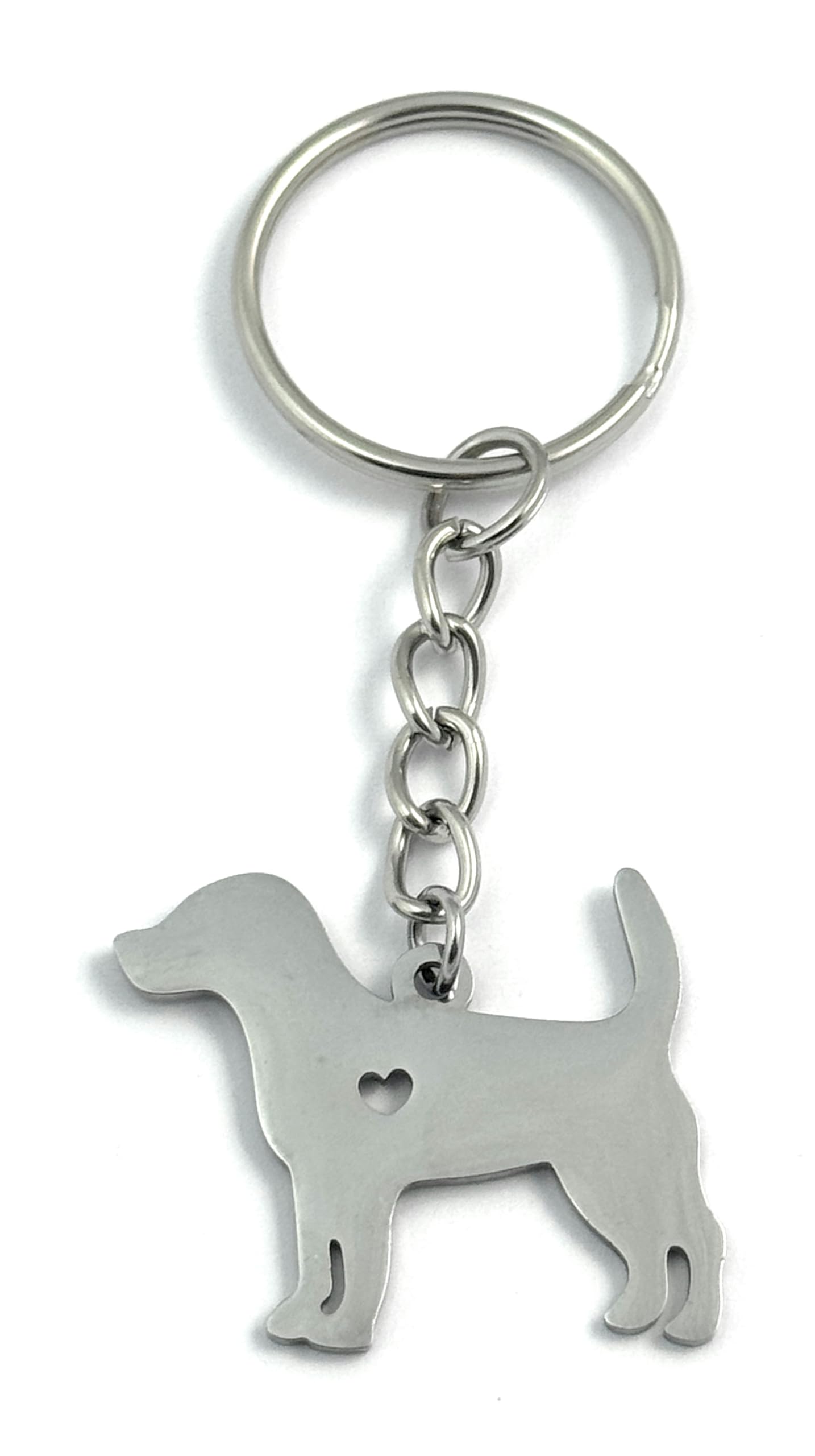 FizzyButton Gifts Beagle Puppy Dog Keyring Key Ring with Stainless Steel Silhouette Charm and Turquoise Gift Box