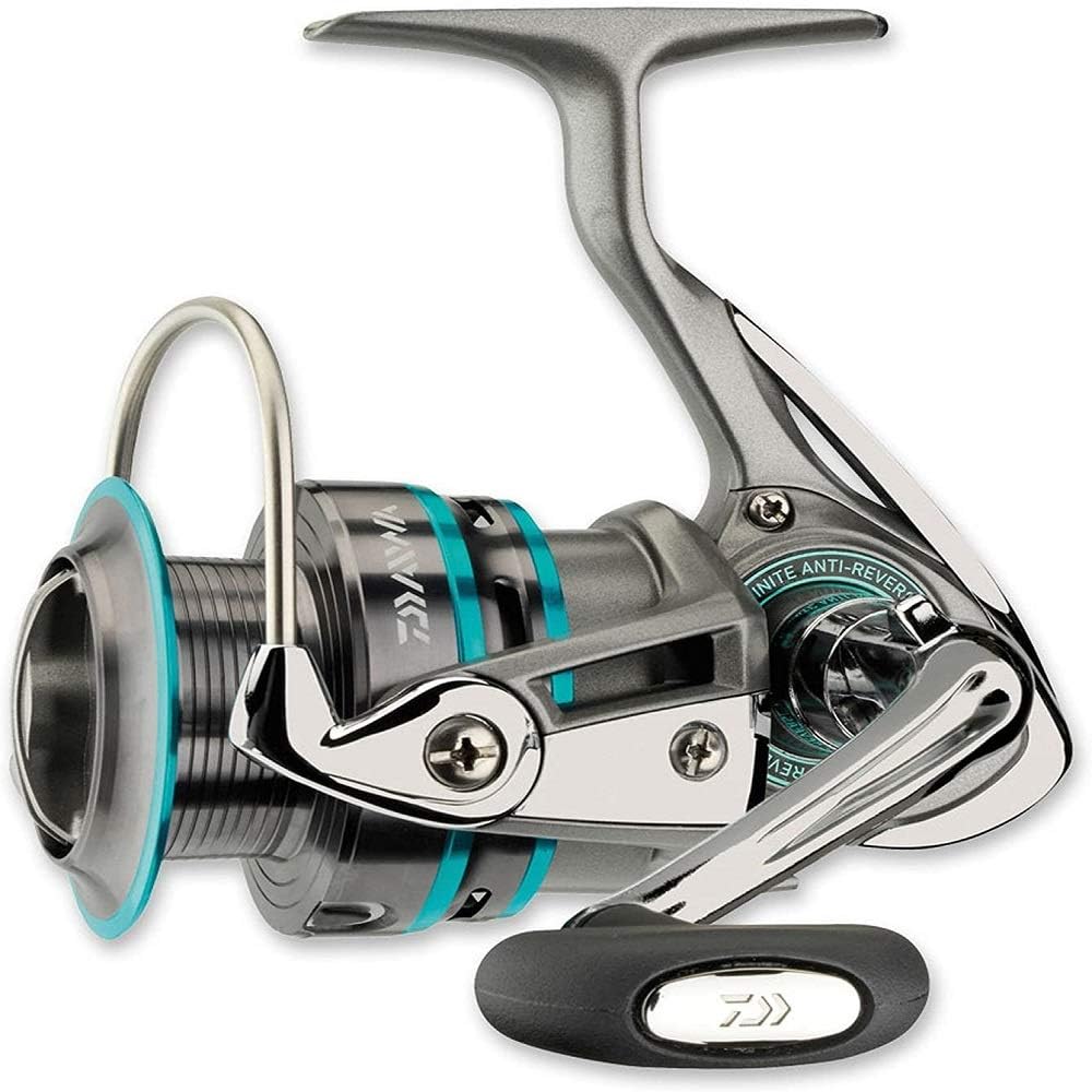 daiwa procaster 2000