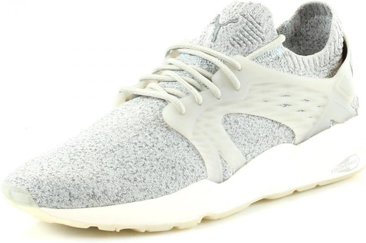 puma trinomic evoknit