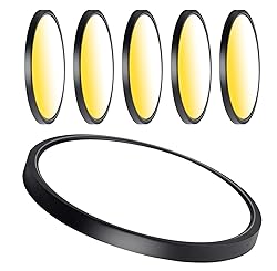 CycevSun 15.8 Inch Black Flush Mount Ceiling Light