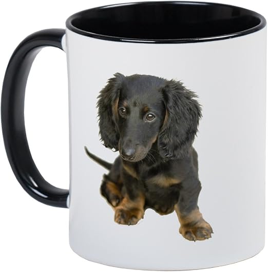 Amazon Com Cafepress Long Hair Brindle Dachshund Puppy Unique