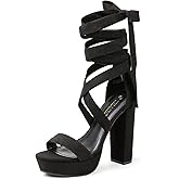 DREAM PAIRS High Heels Chunky Block Platform Heels for Women Strappy Gladiator Sexy Open Toe Heels Dressy Pumps Sandals