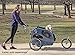 PetSafe Happy Ride Dog Stroller Kit - Conversion Kit for Happy Ride Dog Bicycle Trailer - Lightweight, Rust-Free Aluminum Handlebar - All-Terrain Wheel - Large