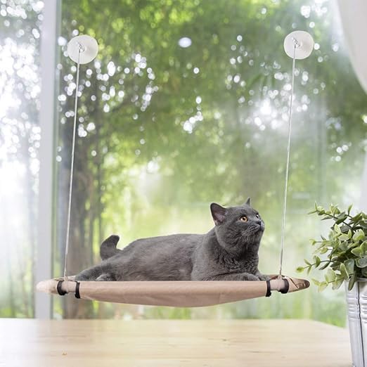 amazon cat window bed