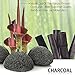 Konjac Sponge 3 Pack (black Green white), and Silicone Brush By Partie Naturals Activated Charcoal - Facial Sponge, 100% Natural Sponge Suction Hook Included