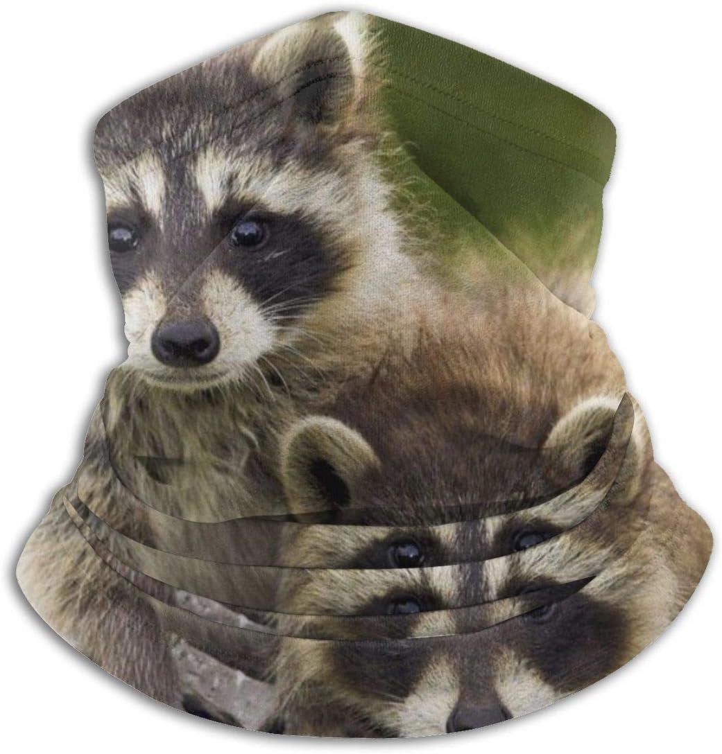 Huron de caza | Los mejores artículos para tu hurón.