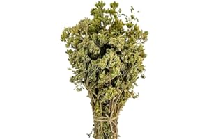 Oregano bunch, Greek wild sun dried from the Greek mountains, 40g whole bunch dark green with leaves and stems