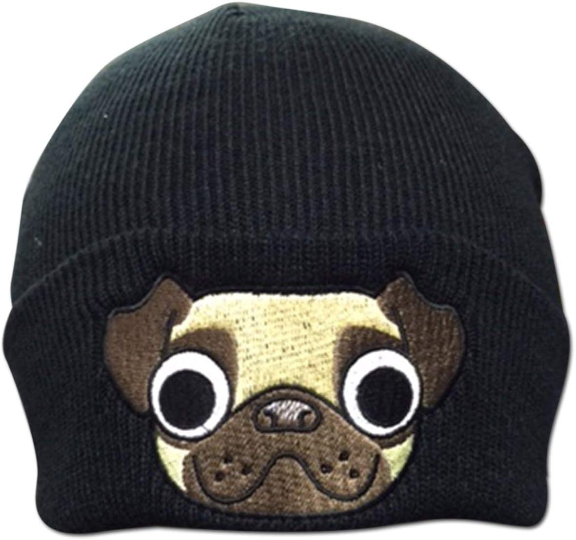 best pet monitor lizard