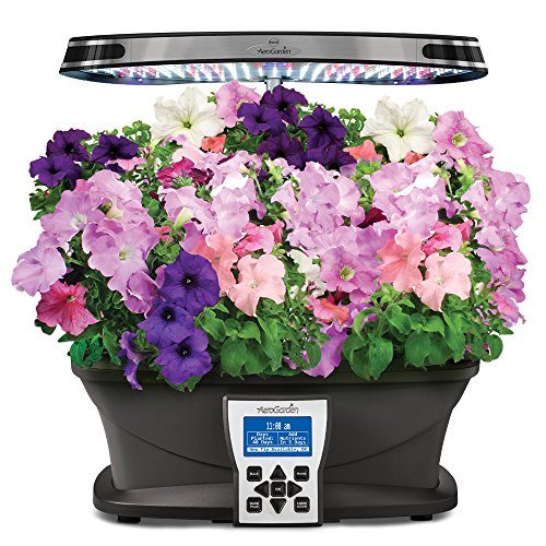 MiracleGro AeroGarden Cascading Petunia Seed Pod Kit (7Pod) New eBay