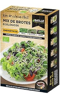 Huerto Urbano - Kit Stevia - Batlle: Amazon.es: Jardín