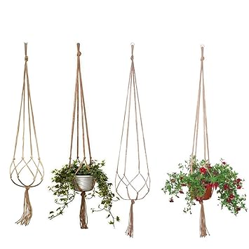 すべての美しい花の画像 50 素晴らしいハンギング 植物 屋外