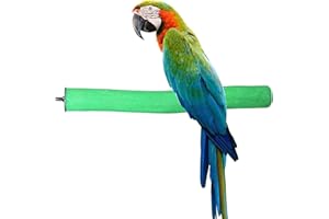 KINTOR Bird Perch Rough-surfaced Nature Wood Stand Toy Branch for Parrots