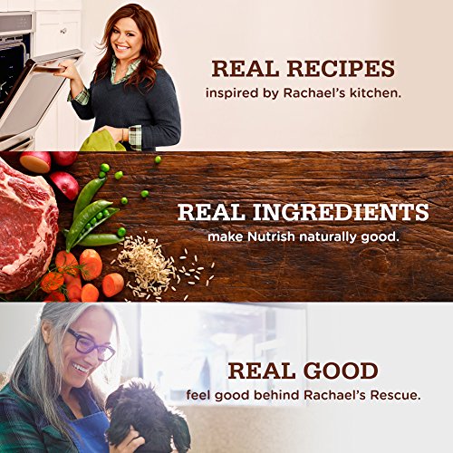 Rachael Ray Nutrish Soup Bones Minis Dog Treats, Real Chicken & Veggies