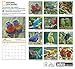 Parrots National Geographic 2016 Wall Calendar