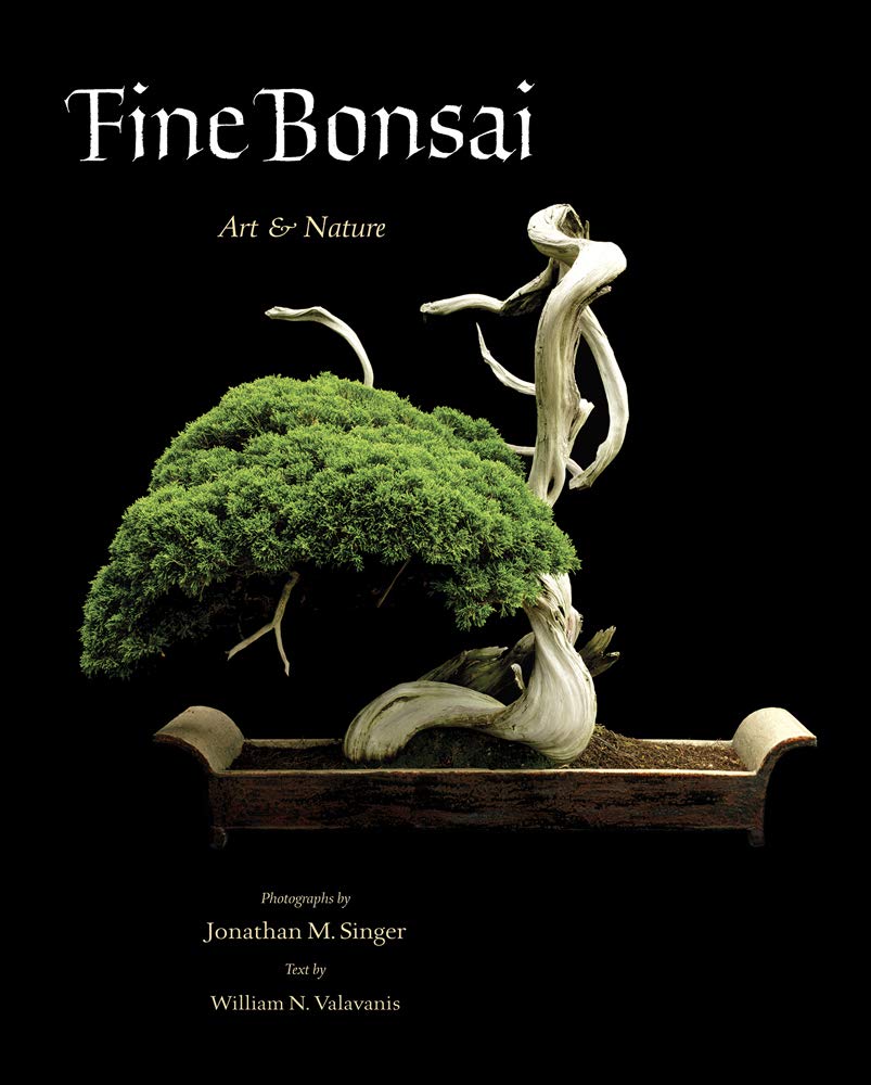 Amazon Com Fine Bonsai Art Nature 9780789211125 William N Valavanis Jonathan M Singer Books