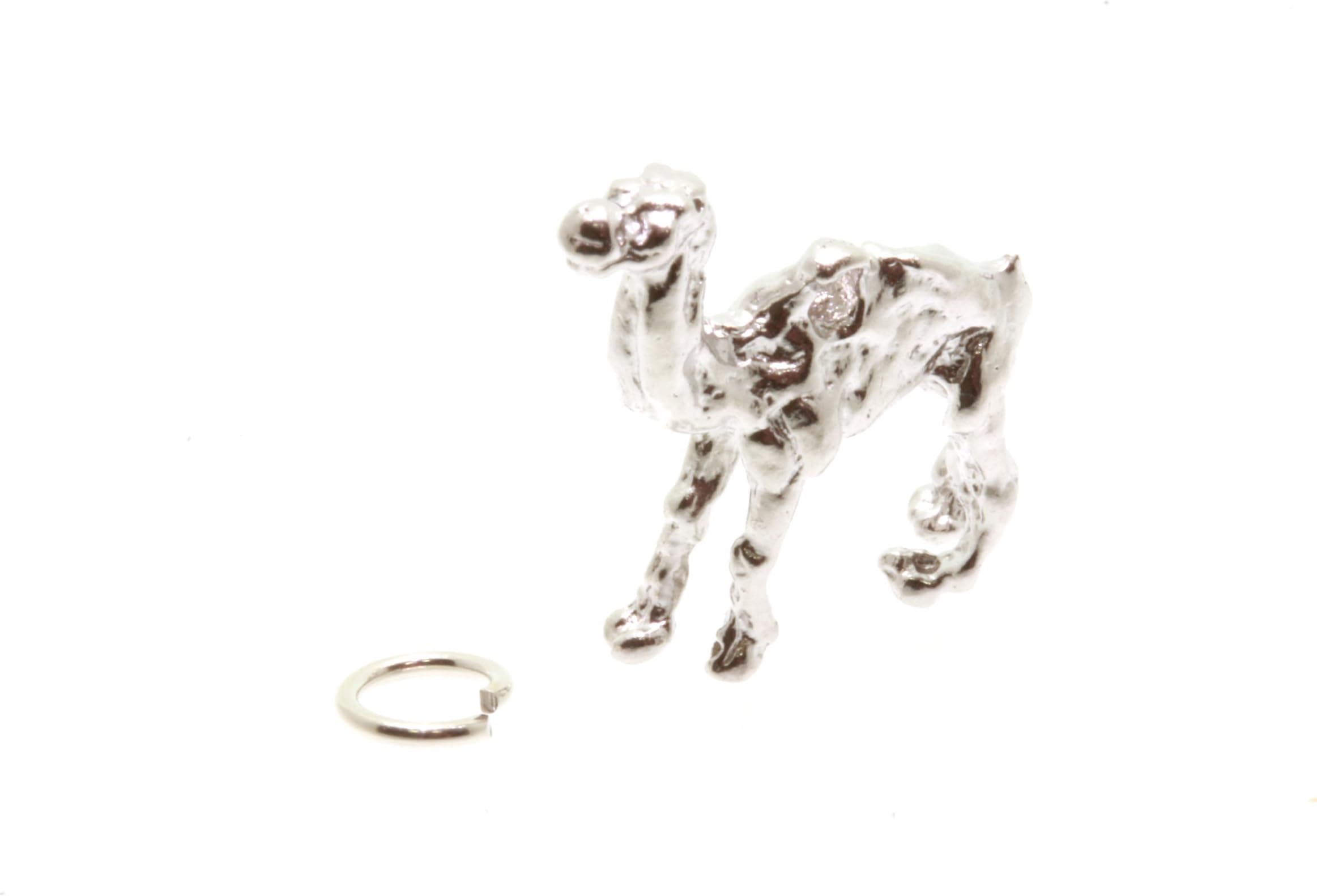 Birth Stone JewelsSterling Silver, Egyptian Camel Charm