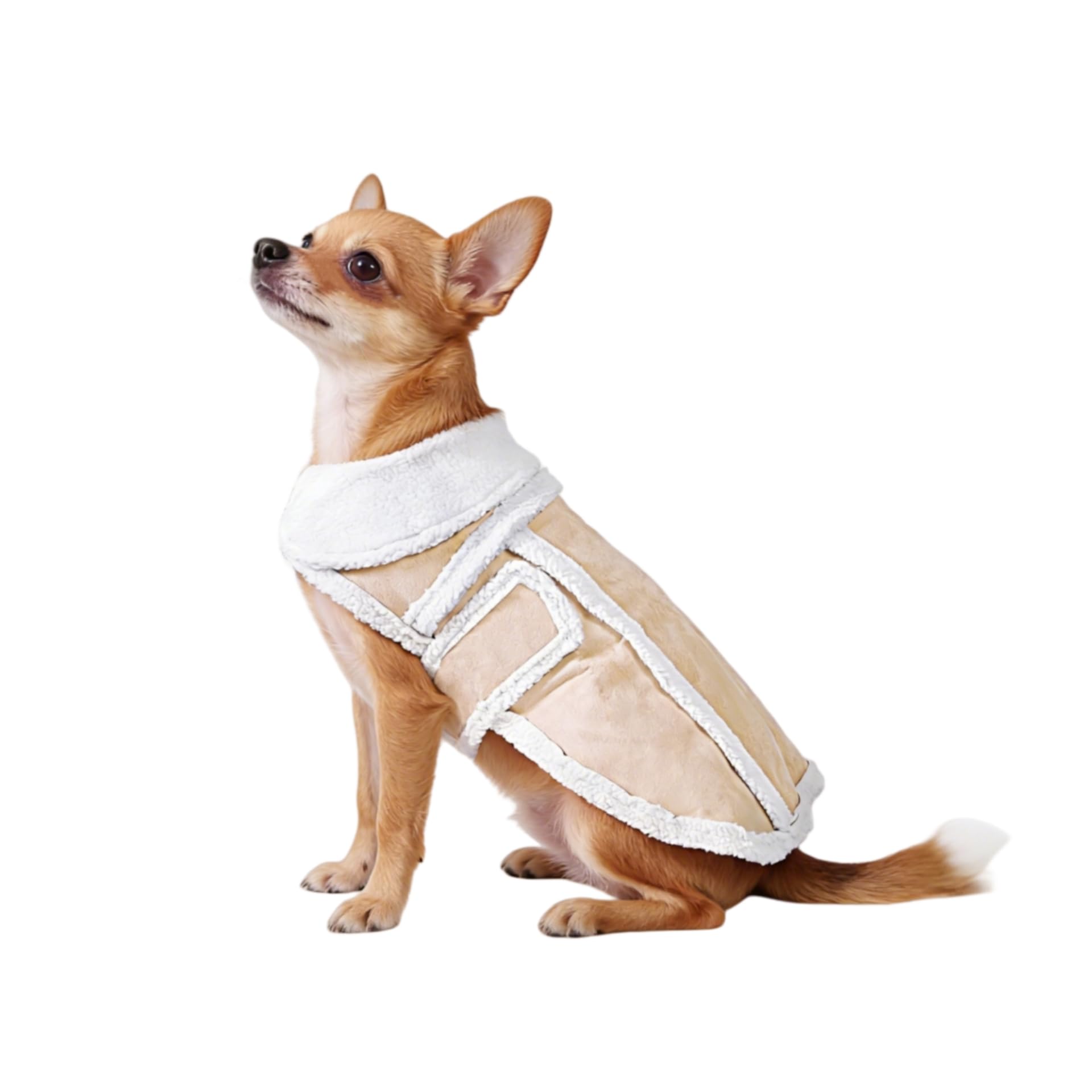 Namsan Dog Warm Coat,Dog Jacket,Winter Dog Clothes for Small Dogs