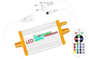 IP68 Waterproof 220V/110V Neon Light RGB Controller 1500W with 24Keys IR Remote Control for 5050 2835 LED Strip Power EU Plug