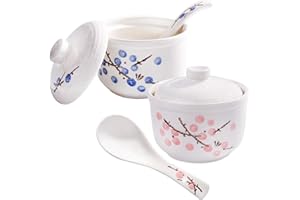 Whitenesser Japanese Soup Bowl Set with Spoons - 2 Piece 250ml Stoneware Ramen Bowls for Miso, Udon, Chawanmushi - Elegant Ha