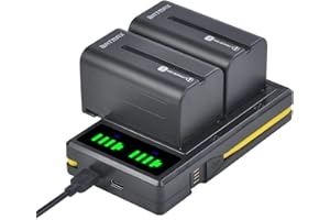 Batmax 2Pcs 5200mAh NP-F750 Battery + LCD Dual USB Charger for Sony NP-F550 570 750 770 970 960 975 Sony Handycams, NW CN160 