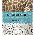 Patterns in Nature: Why the Natural World Looks the Way It Does