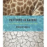 Patterns in Nature: Why the Natural World Looks the Way It Does