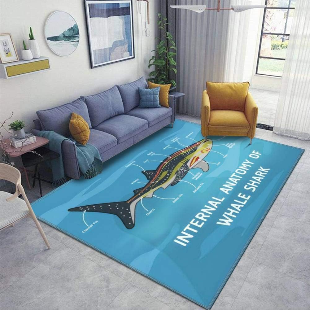 Internal Anatomy of Whale Shark Area Rugs Floor Mat Non Slip Throw Rugs Soft Door Mat Nursery Carpet for Living Room Home Indoor Outdoor Runner Rugs Yoga Mat