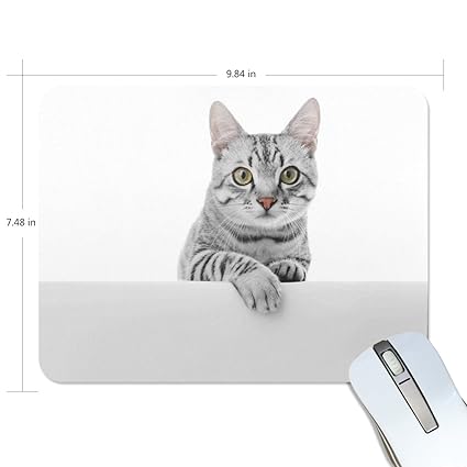 Amazon Com Blueviper Cute American Shorthair Cat Mouse Pad