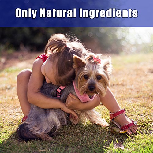 5 Arava+Pet+Eye+Wipes+Aromatherapy