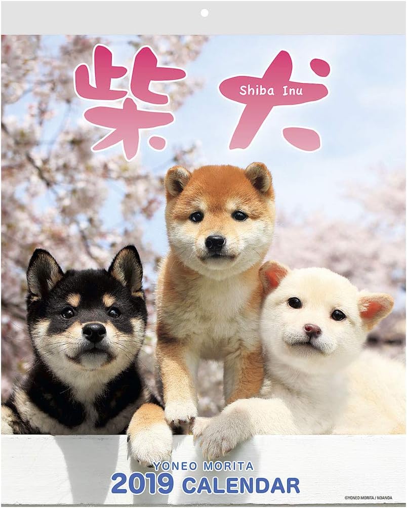 Shiba Inu Calendar 2019 With Adorable Shiba Dogs Pictures Us Holidays Japanese Holidays In English Made In Japan Wall Calendar 2019
