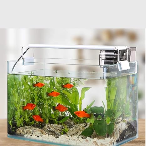 Amazon Co Jp 魚の飼育箱小さな魚の水槽ハーフ水族館キット3リットルのろ過システムは 一般の人々に適した贈り物としてオフィスや部屋に置くことができます ホーム キッチン