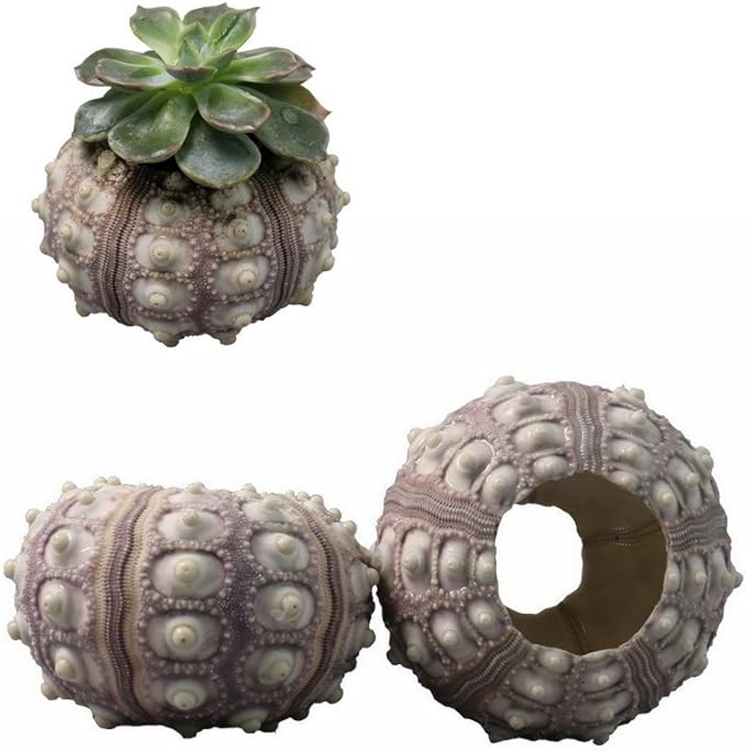 Download Strand themen lampen boden Desktop Wallpaper Strand Themen Lampen Boden