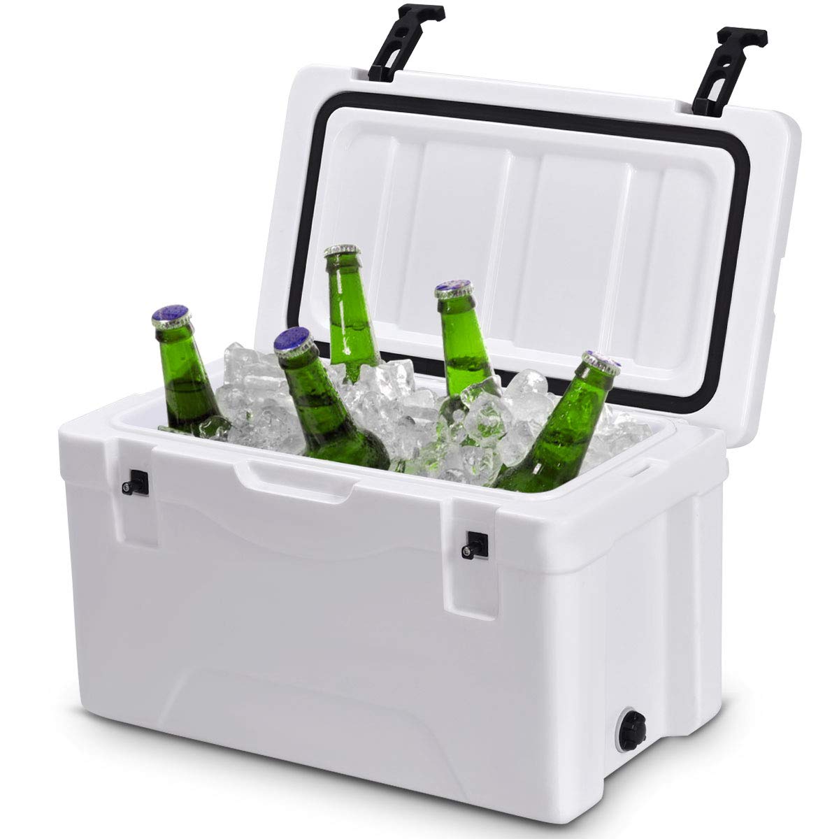 igloo dc cooler