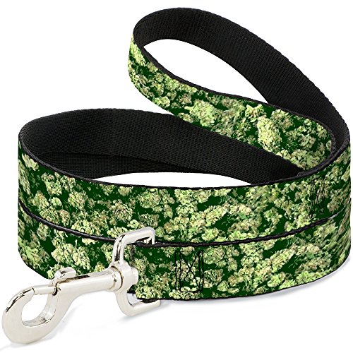 Dog Leash - Vivid Marijuana Nugs Stacked - Wide 1.5"