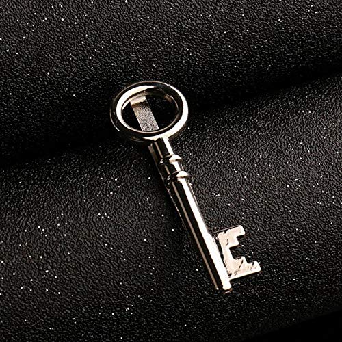 TreeMart 1 Pcs Retro Style Key Shape Silver Color Tie Clip for Men Tie Decor Necktie Clips Pin for Men Great Tie Accessories Gift