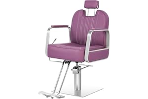 Hicomony Salon Chair for Hair Stylist, Barber Chair Hair Chair for Home Barbershop Recling, Stylist Chair Hydraulic Pump with 360° Rotation,130° Recline,All Purpose Salon Equipment,Purple