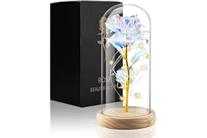 Mothers Day for Mom Women: Qoosea Beauty and The Beast Rose, Forever Rose in Plastic Dome Romantic Gifts for Her Mothers Day 