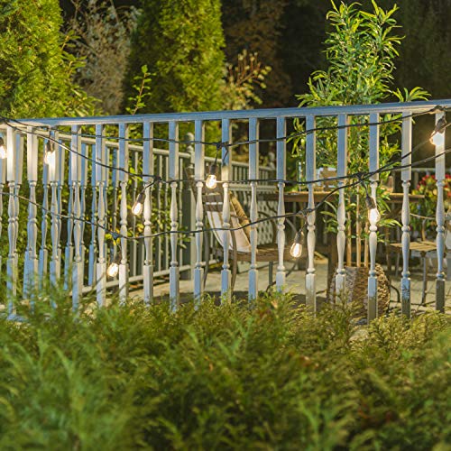 Amazon Basics 48Foot LED Outdoor String Lights with 16 Edison Style S14 Soft White Bulbs