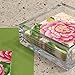 Caspari Acrylic Cocktail Napkin Holder, Clear, 1