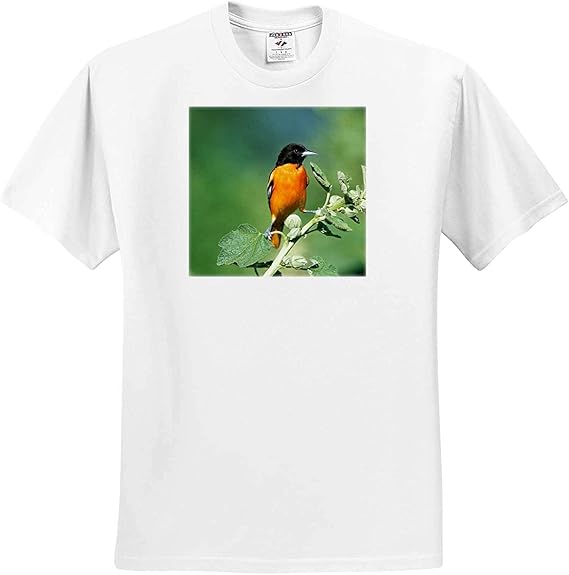 Amazon Co Jp ダニタデリモントオリオールボルティモアオリオール男性ホーリーホックマリオンイリノイのtシャツ 服 ファッション小物