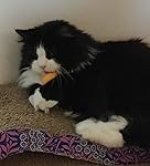 Review Image by Miss Peabodi Miss Peabodi