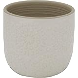 Amazon Brand – Stone & Beam Small Floral-Embossed Planter, 4.3"H, Cloud Dancer White